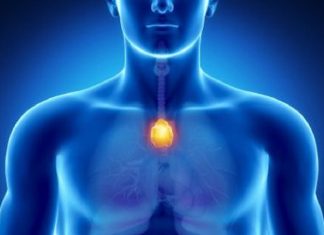 Soin Éthérique du Thymus