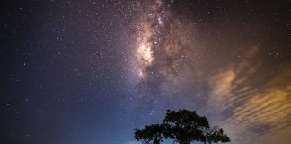 L’ancrage dans votre nouvelle réalité