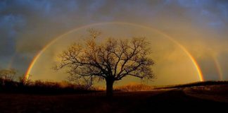 Pratique 34 – Laissez-moi voir ce qui a de la valeur