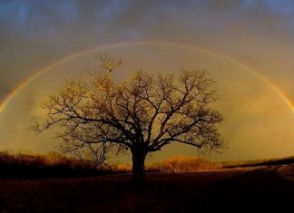 Pratique 34 – Laissez-moi voir ce qui a de la valeur