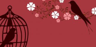 Ne restez pas prisonniers de votre propre petite boîte