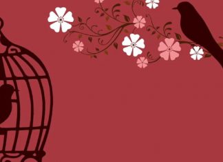 Ne restez pas prisonniers de votre propre petite boîte