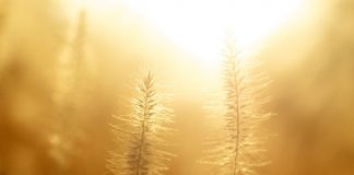 Confirmation de rendez-vous