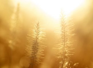 Confirmation de rendez-vous