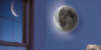 Le Créateur – À vous de choisir