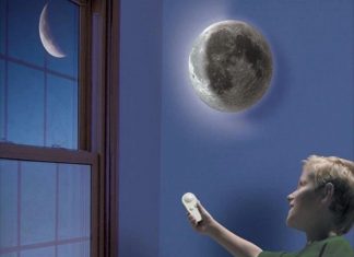 Le Créateur – À vous de choisir