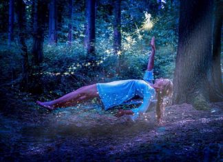 Le Créateur – Enseignement & Apprentissage