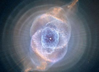 Vos Capacités de MÉTAMORPHOSES et Votre Champ ÉLECTROMAGNÉTIQUE