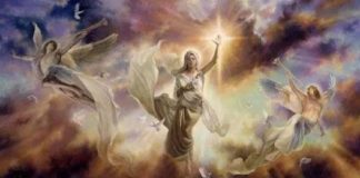 Le Créateur – En Position