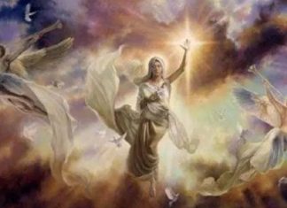 Le Créateur – En Position