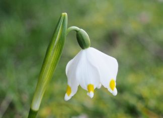 Message d’Atmar : SOYEZ VIGILANT !