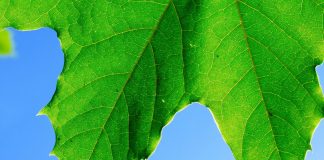 Demeurer dans un Soi illimité