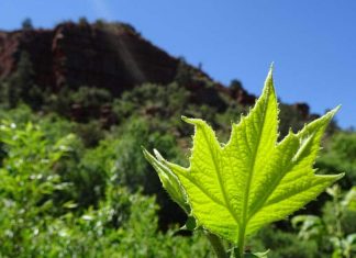 Se pardonner soi-même….