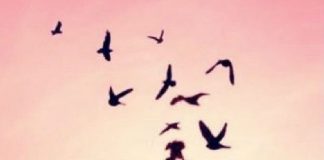 Le Consentement est la Liberté de Choix