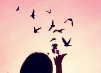 Le Consentement est la Liberté de Choix