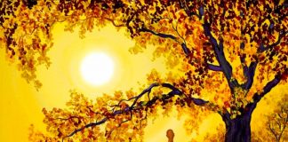 Le Créateur – Le Pouvoir Intérieur….