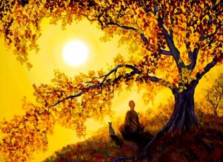 Repos et Convalescence !