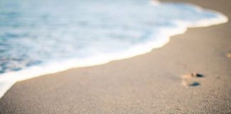 Le Créateur – …Sur Votre Chemin