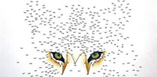 Le Créateur – Connexion…