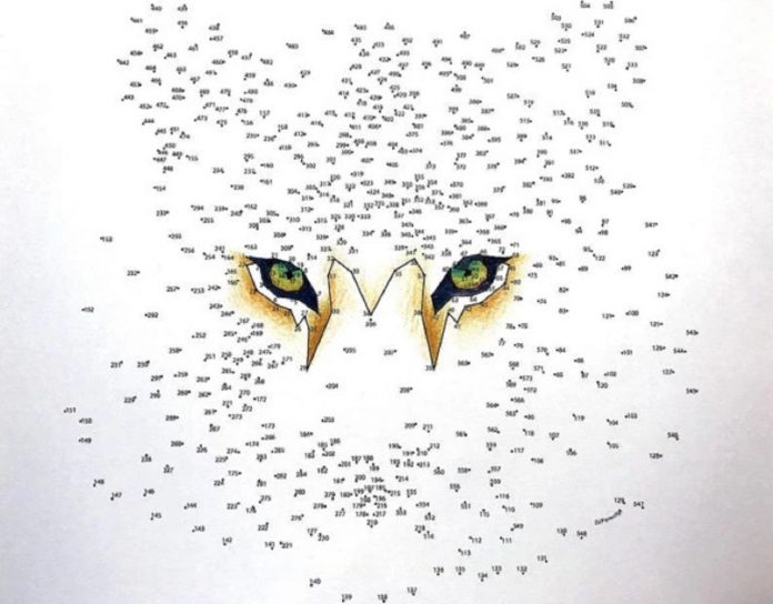 peinture à numéros- tigre