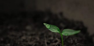 L’humanité à enfin accepté l’énergie d’Unité