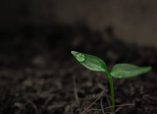 L’humanité à enfin accepté l’énergie d’Unité