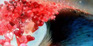 Laissez-Le Déborder