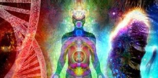 Résonance de votre biologie