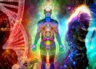 LES NOMBREUX MONDES QUI VOUS COMPOSENT