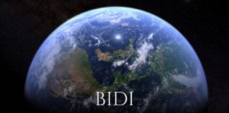 Entretiens de Mai 2019 – BIDI