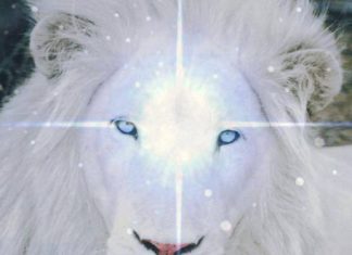 8/8 Portail du Lion 2019 : L’incarnation complète de l’âme alors que nous entrons dans le cycle créatif de 2019/20