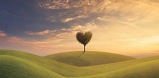 Vous êtes le chemin