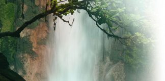 Une progression ponctuée d’arrêts?