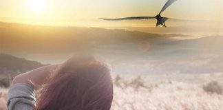 Le Créateur – Donner à Soi-Même