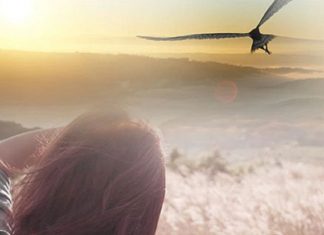 Le Créateur – Donner à Soi-Même