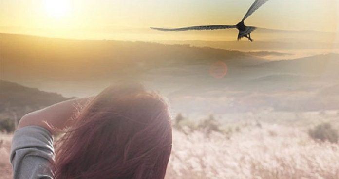 donner à soi oiseau