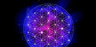 La fleur de Vie : l’antidote des géométries sacrées