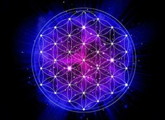 La fleur de Vie : l’antidote des géométries sacrées