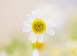 Tout le monde offre un cadeau