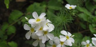 Aucun acte d’amour n’est jamais trop petit