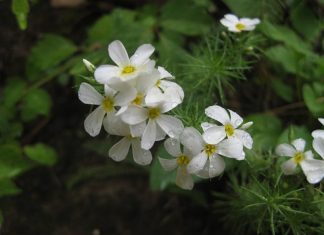Aucun acte d’amour n’est jamais trop petit