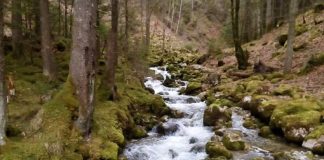 Détendez-vous… Laissez Vous Vibrer