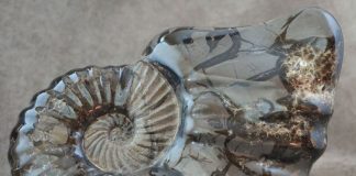 Le grand vase de la Vérité