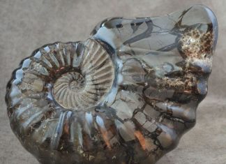 Le grand vase de la Vérité