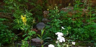 La Terre mère a besoin de nous pour aimer