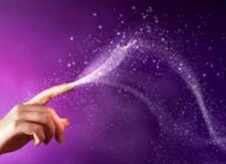 Le Créateur – Sortez et Bougez !