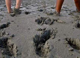 Le Créateur – Se Décoincer