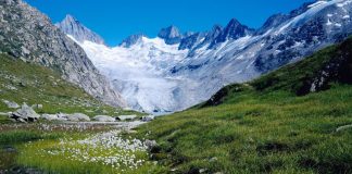 La victoire guerrière