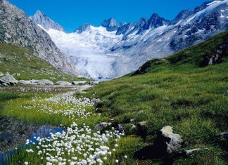 La victoire guerrière