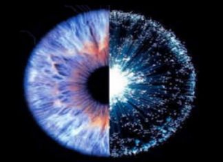 Pratique 41 – Laissez-moi voir ceci comme la vérité voudrait que je le voie